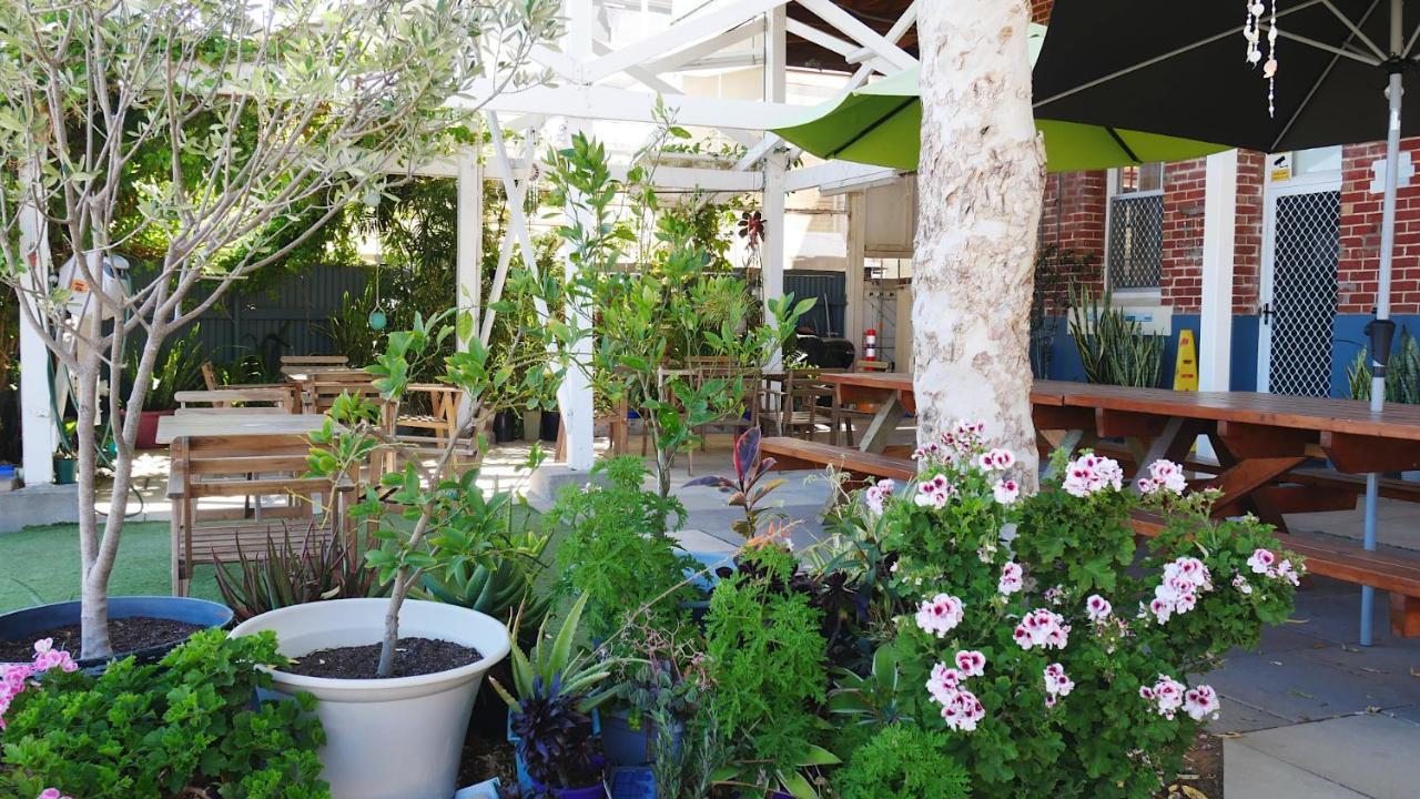 Geraldton Backpackers Hostel ภายนอก รูปภาพ